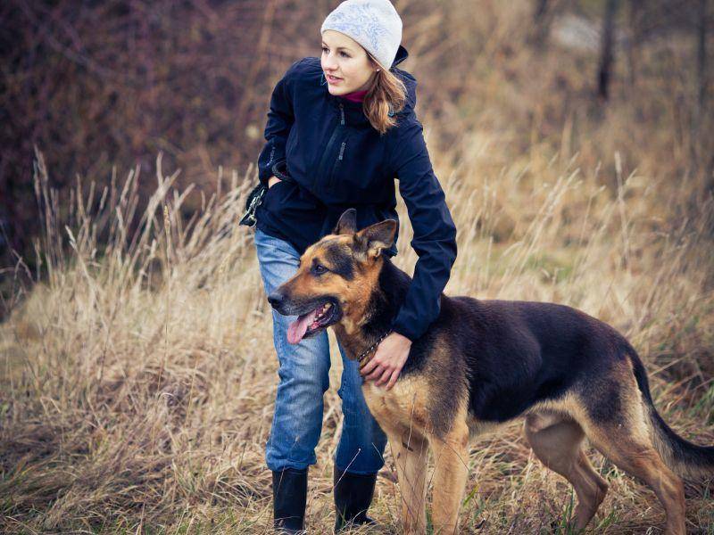 Ebenso wichtig für den Deutschen Schäferhund: Eine konsequente, aber liebevolle Erziehung — Bild: Shutterstock / l i g h t p o e t