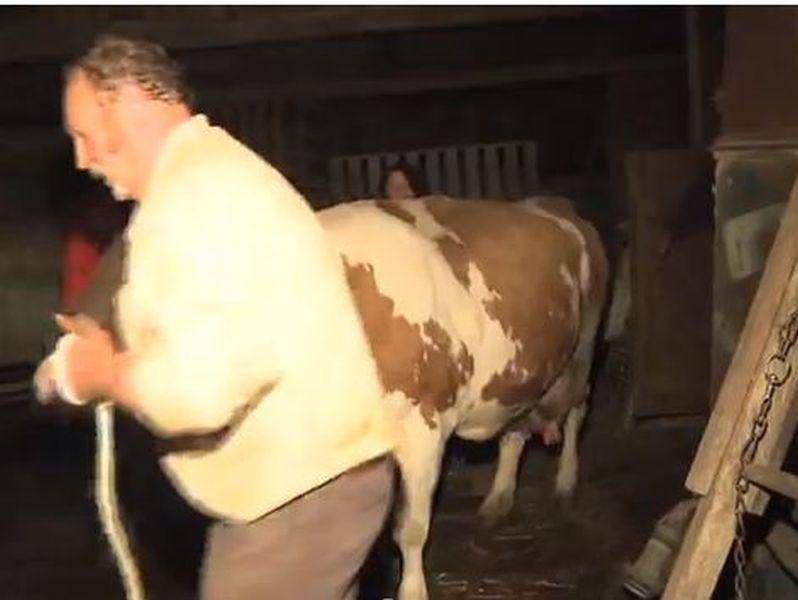 Gut Aiderbichl konnte 67 Rinder evakuieren — Bild: Youtube / Gut Aiderbichl