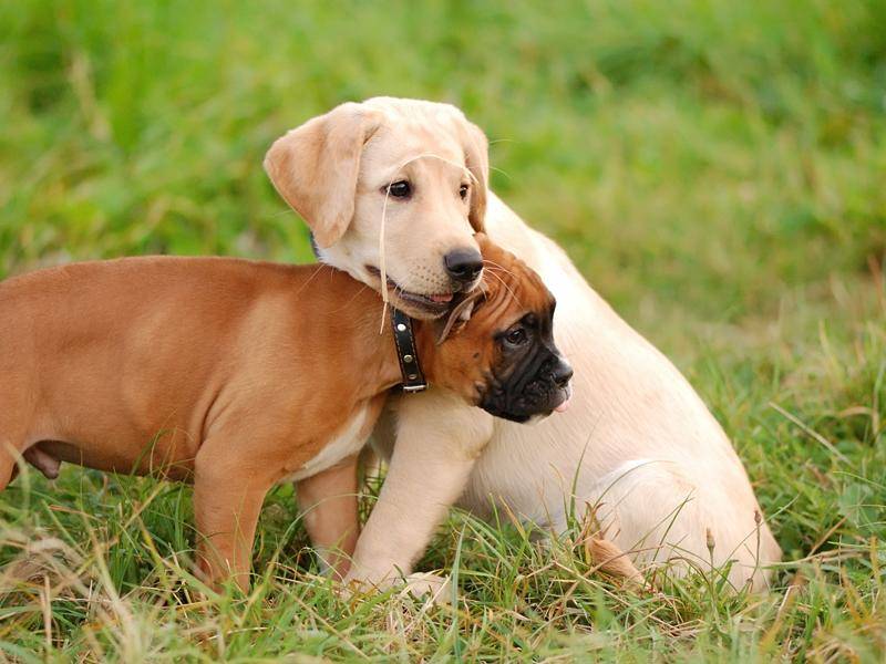 "Bleiben wir Freunde für immer!" – Bild: Shutterstock / Art_man