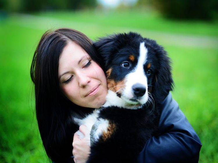 Krankenversicherung für Hunde abschließen kann für bestimmte Rassen etwas teurer werden — Bild: Shutterstock / LovelyColorPhoto