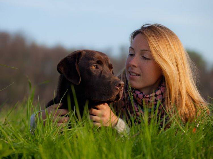 Hundeallergie: Wichtig ist, die Symptome so schnell wie möglich zu erkennen – Bild: Shutterstock / Marcella Miriello