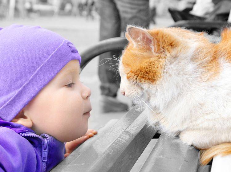 Katzenpilz ist für Kinder besonders ansteckend – Bild: Shutterstock / Shmeliova Natalia