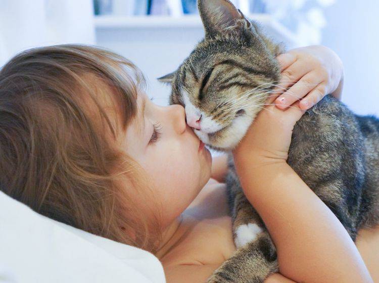 Ein respektvoller Umgang miteinander ist wichtig für Katzen und Kinder – Bild: Shutterstock / AlenaNex