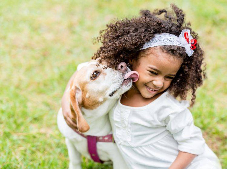 Hundeküsse stärken die Mensch-Hund-Beziehung – Shutterstock / Andresr