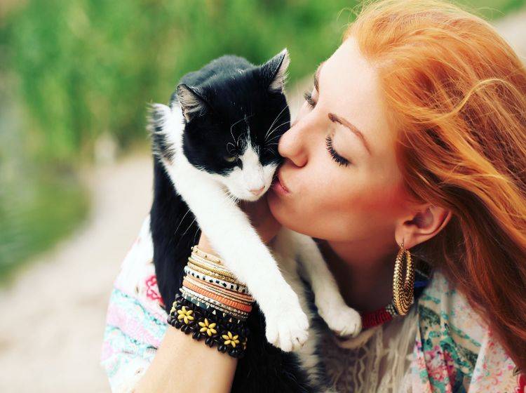 Katzen sind deutlich unabhängiger als etwa Hunde – Shutterstock / Bohemian soul