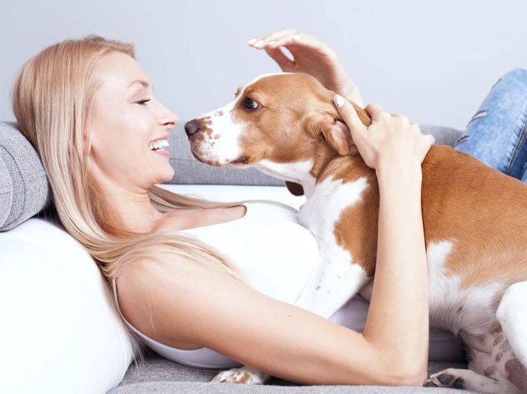 Ein guter Tierpsychologe weiß bei Verhaltensproblemen Rat – Shutterstock / NeonShot