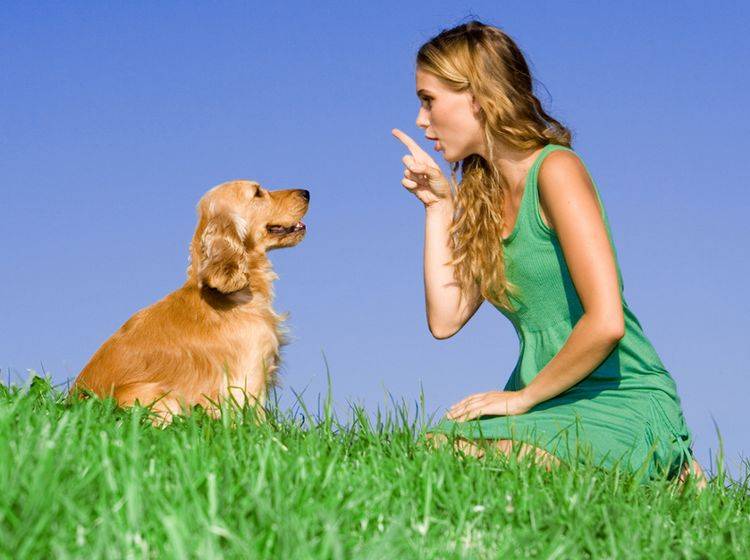 Taube Hunde lassen sich sehr gut mit Zeichensprache erziehen. – Bild: Shutterstock / MANDY GODBEHEAR