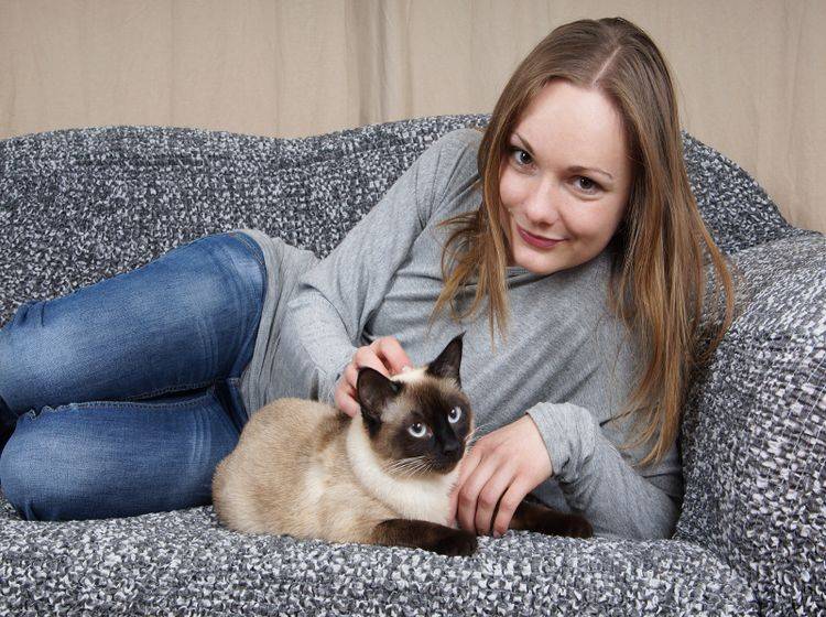 Anhängliche Katzenrassen wie die Siam weichen ihren Besitzern nicht von der Seite – Shutterstock / Axel Bueckert