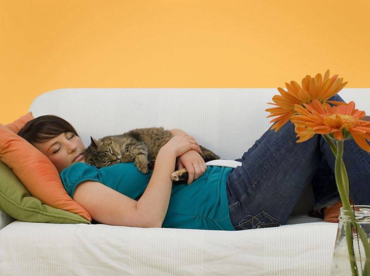 Glück ist: Eine Couch, eine Katze, ein gemeinsames Nickerchen – Shutterstock / Patrizia Tilly