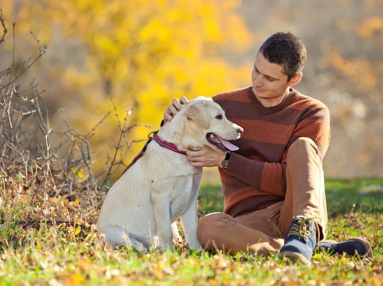 Ein Hund fühlt sich am wohlsten, wenn er Hund sein darf – Shutterstock / Nina Buday