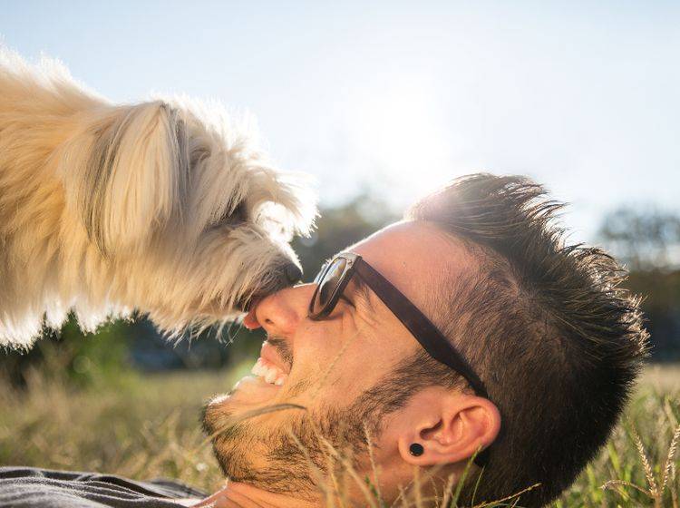 Erkannt! Hunde können Menschen auf verschiedene Arten und Weisen erkennen – Shutterstock / oneinchpunch