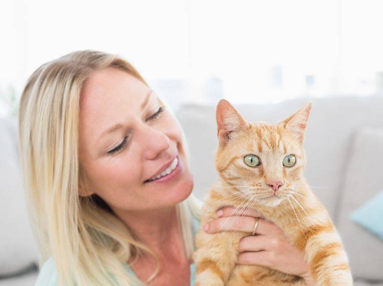 "Streicheln? Bloß nicht!", denkt die rot getigerte Katze – Shutterstock / wavebreakmedia