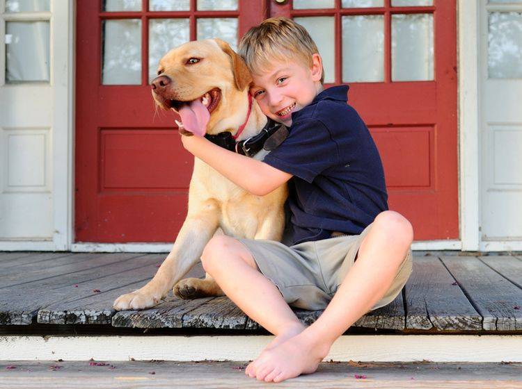 Häufiges Missverständnis: Hunde mögen eigentlich nicht gern so eng umarmt werden – Shutterstock / Brberrys