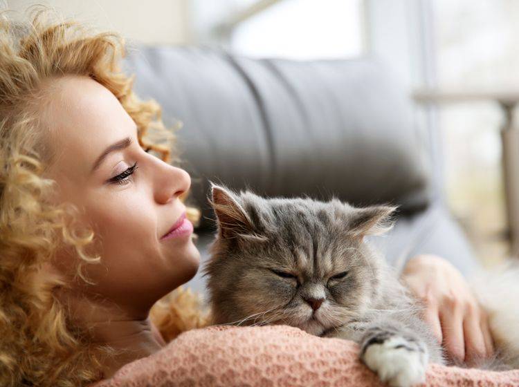 Mit der Katze zu kuscheln tut nicht nur dem Menschen gut – Shutterstock / Africa Studio