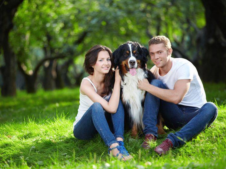 Gesucht und gefunden: Glückliches junges Paar mit süßem Berner Sennenhund – Shutterstock / LuckyImages