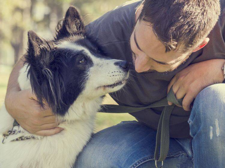 "Ich hab dich lieb, Mensch!", scheint dieser Hund ganz sentimental sagen zu möchten – Shutterstock / Hitdelight