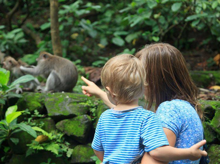Im Zoo können Kinder lernen, Tiere besser zu verstehen und sie zu respektieren – Shutterstock / Nadezhda1906