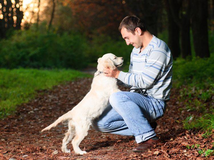 Orientierungstraining beim Spaziergang macht Spaß und stärkt die Hund-Mensch-Freundschaft – Shutterstock / Oksana Shufrych