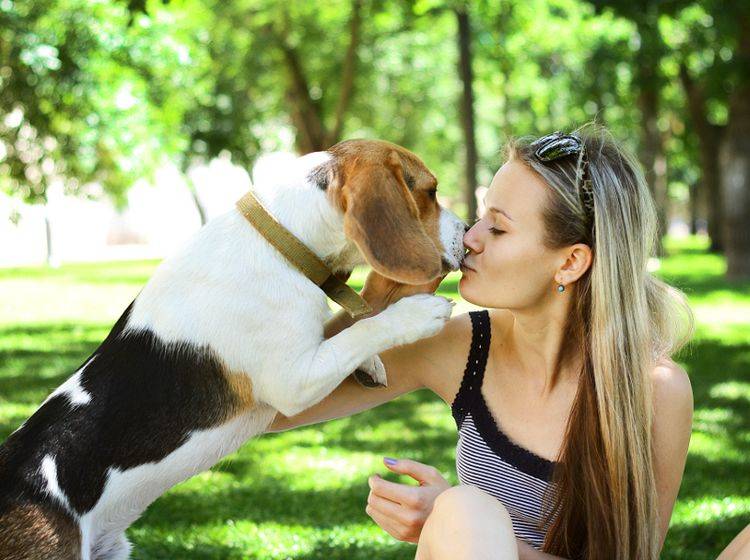 Lieber küssen als schmerzhaft zudrücken – Die Schnauze eines Hundes ist sehr empfindlich – Shutterstock / Viktoria Minkova