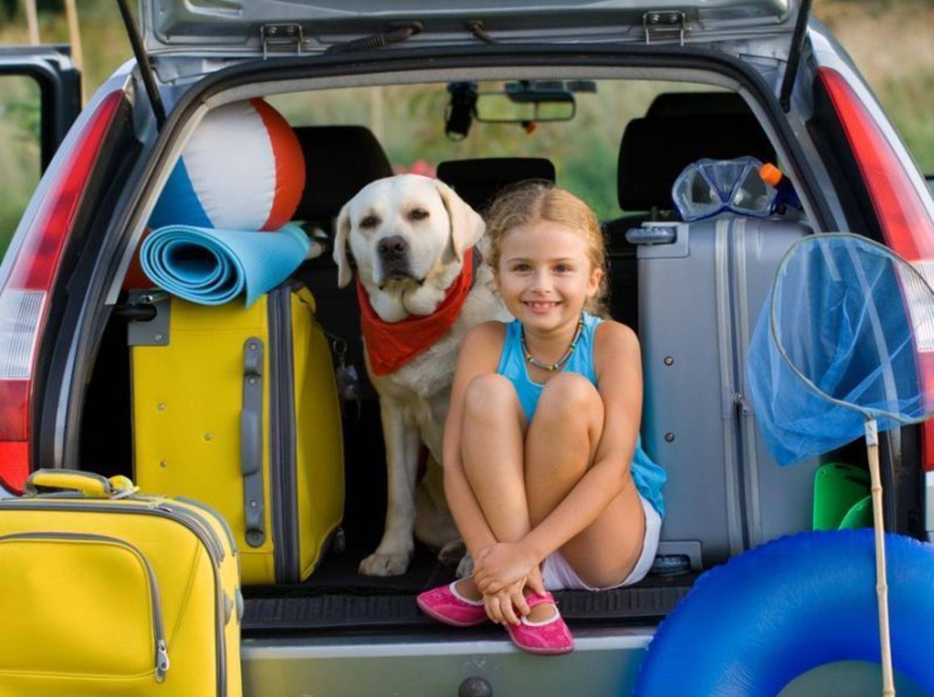 Labrador Hund mit Mädchen im Kofferraum