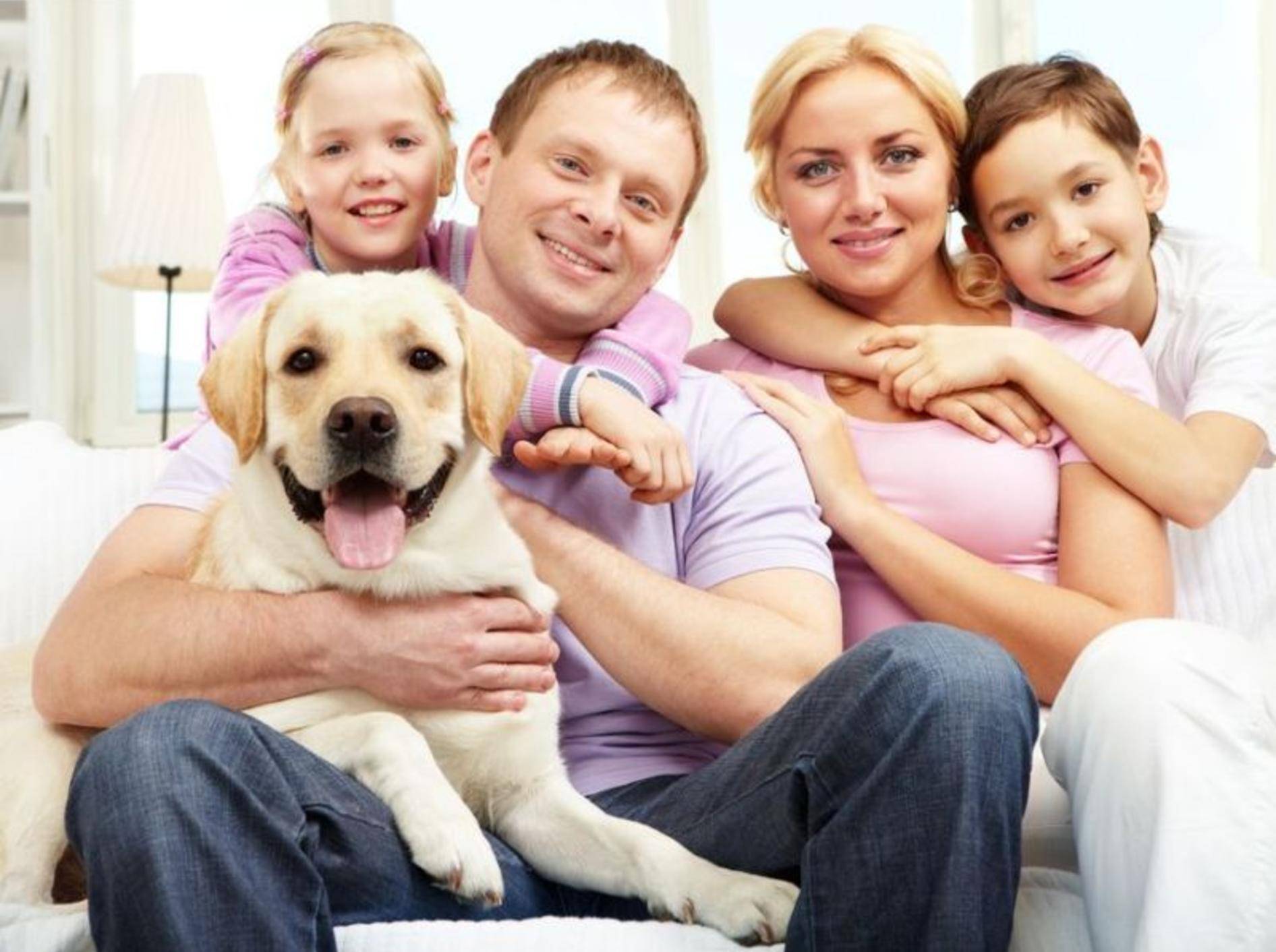 Retriever Hund mit Familie