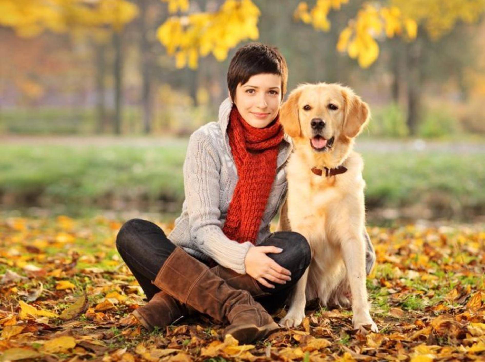Ein guter Hundesitter sollte sich mit Hunden richtig gut auskennen – Foto: Shutterstock / Ljupco Smokovski