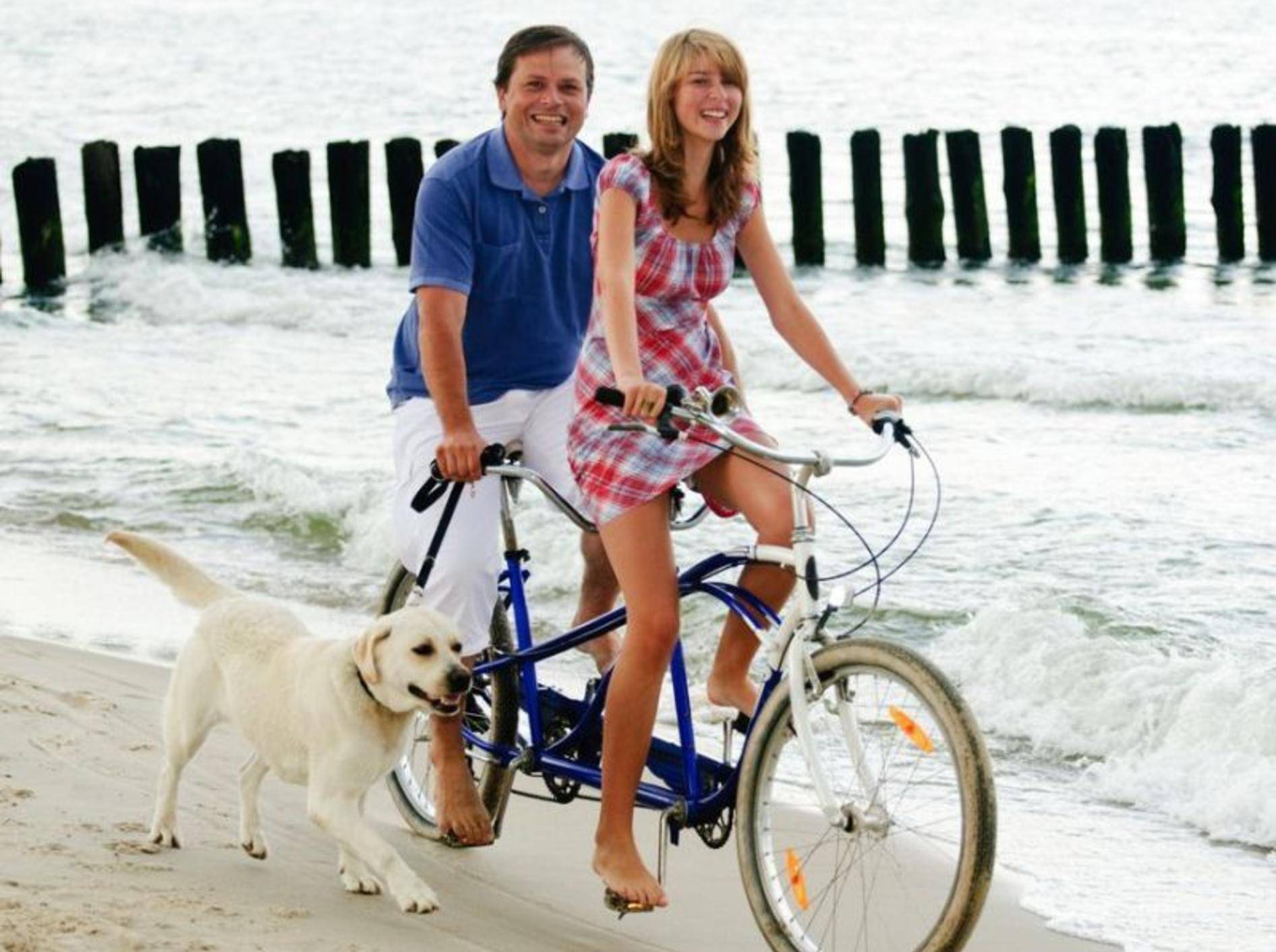 Retriever Hund mit Fahrradfahrern am Meer