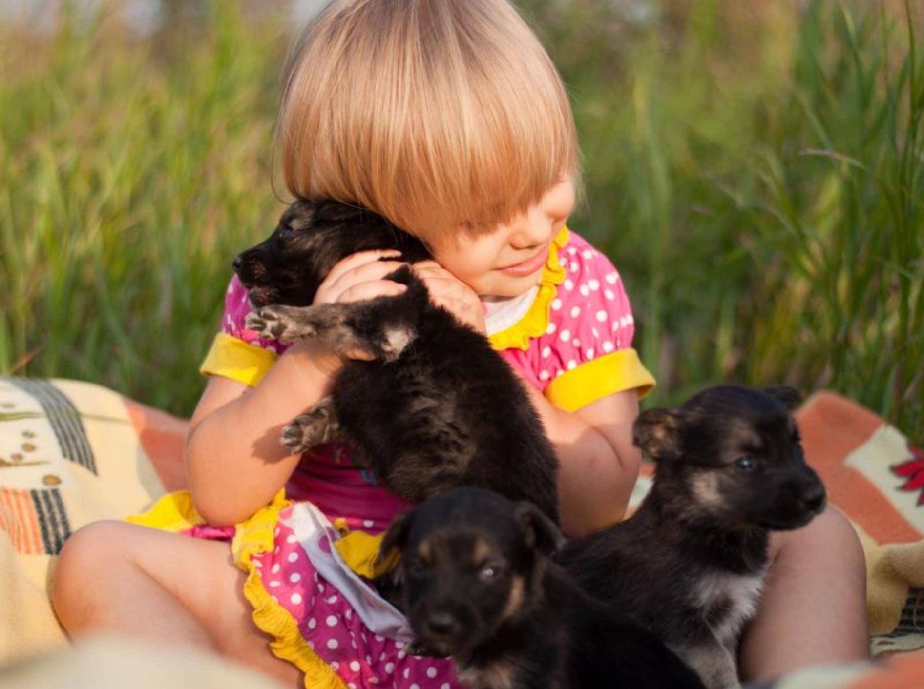 Süße Welpen und ein kleines Mädchen: Beginn einer wunderbaren Freundschaft — Bild: Shutterstock / BestPhotoPlus