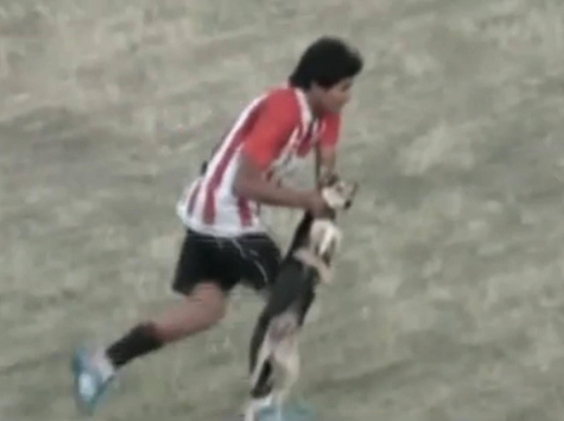 Brutal: Fußballspieler schleudert Hund gegen Zaun