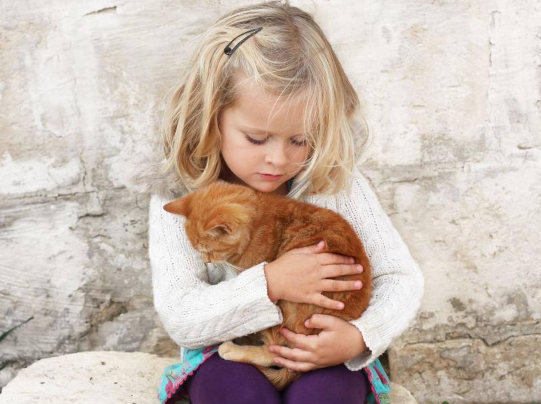 Kind und Katze: Süße Kuschelfreunde — Bild: Shutterstock / AnneMS