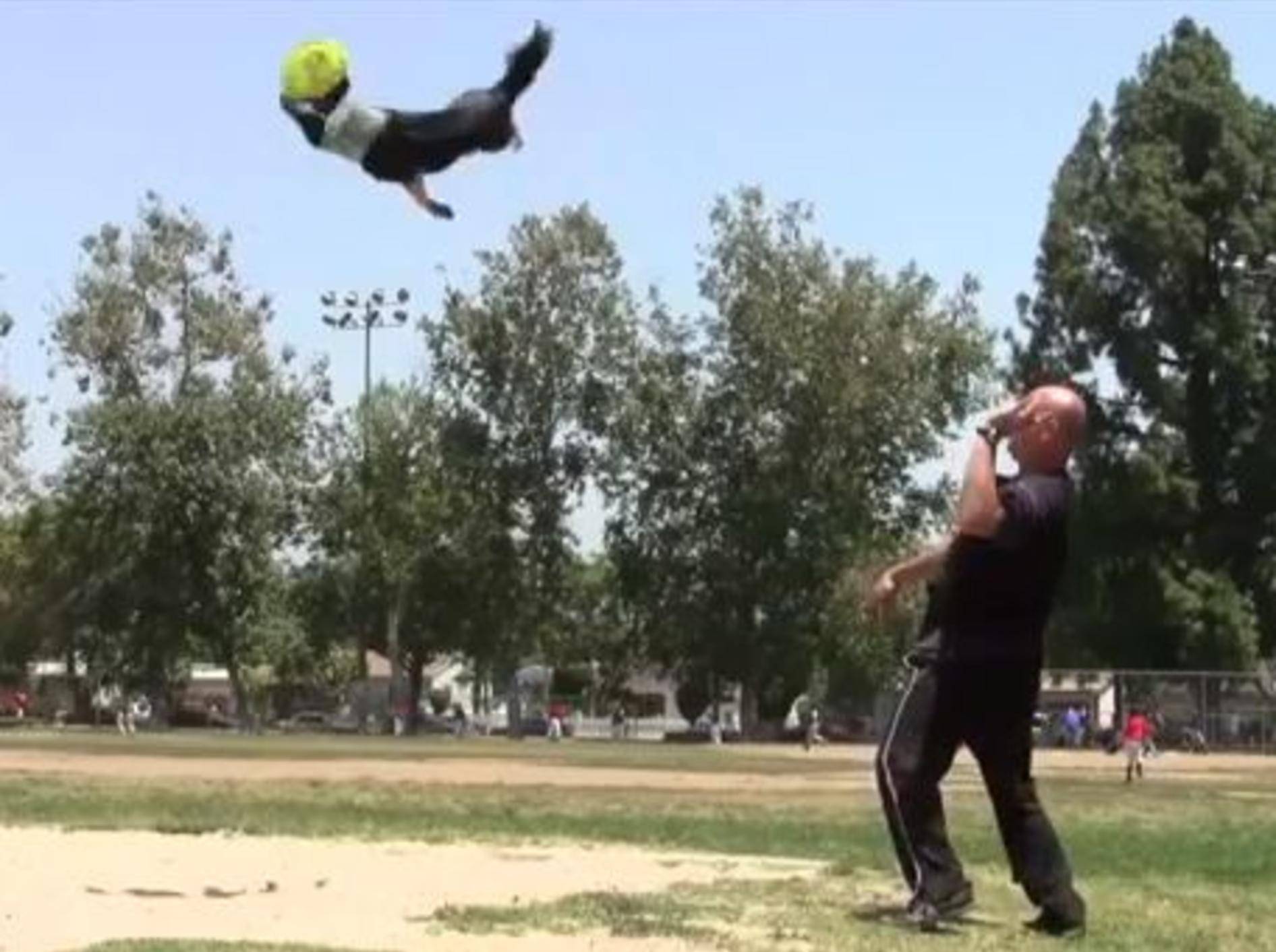 Alleskönner Jumpy zeigt seine tollsten Tricks — Bild: Youtube / Omar von Muller