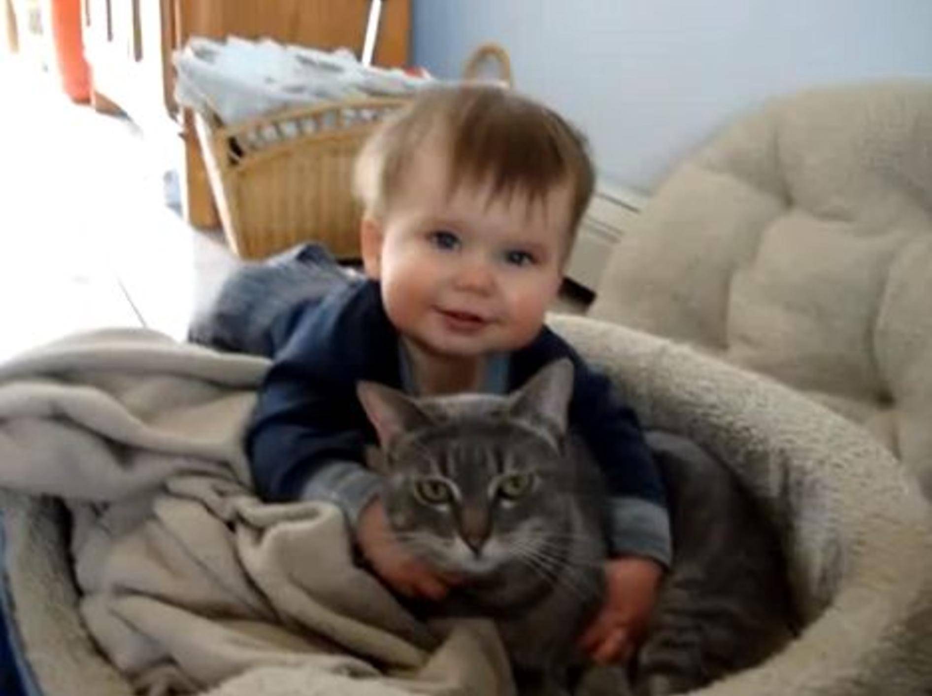 Süßes Baby hat sein Kätzchen sooo lieb — Bild: Youtube / mrmayormike·