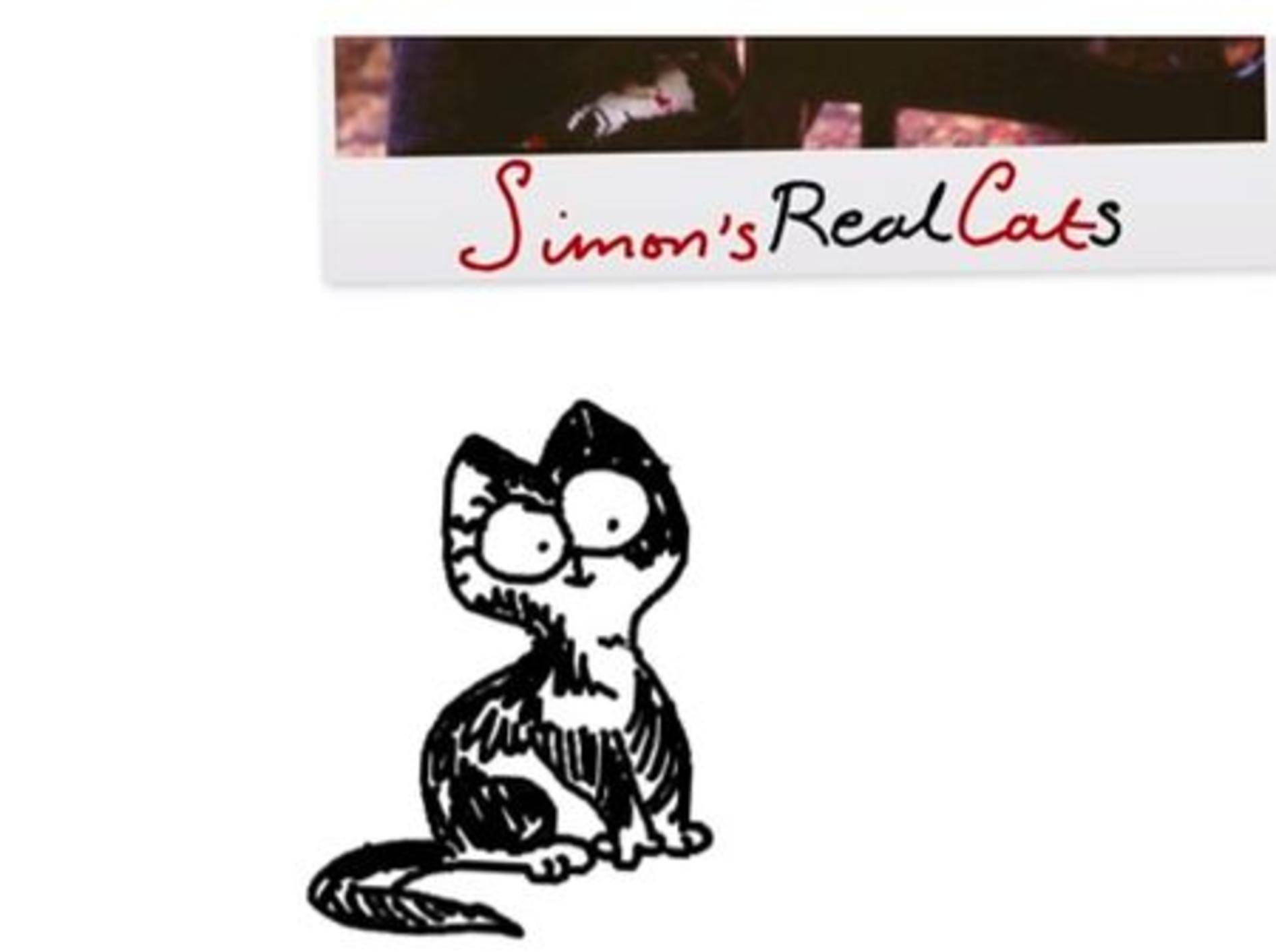 Simon's Real Cats - Bild: Youtube / simonscat