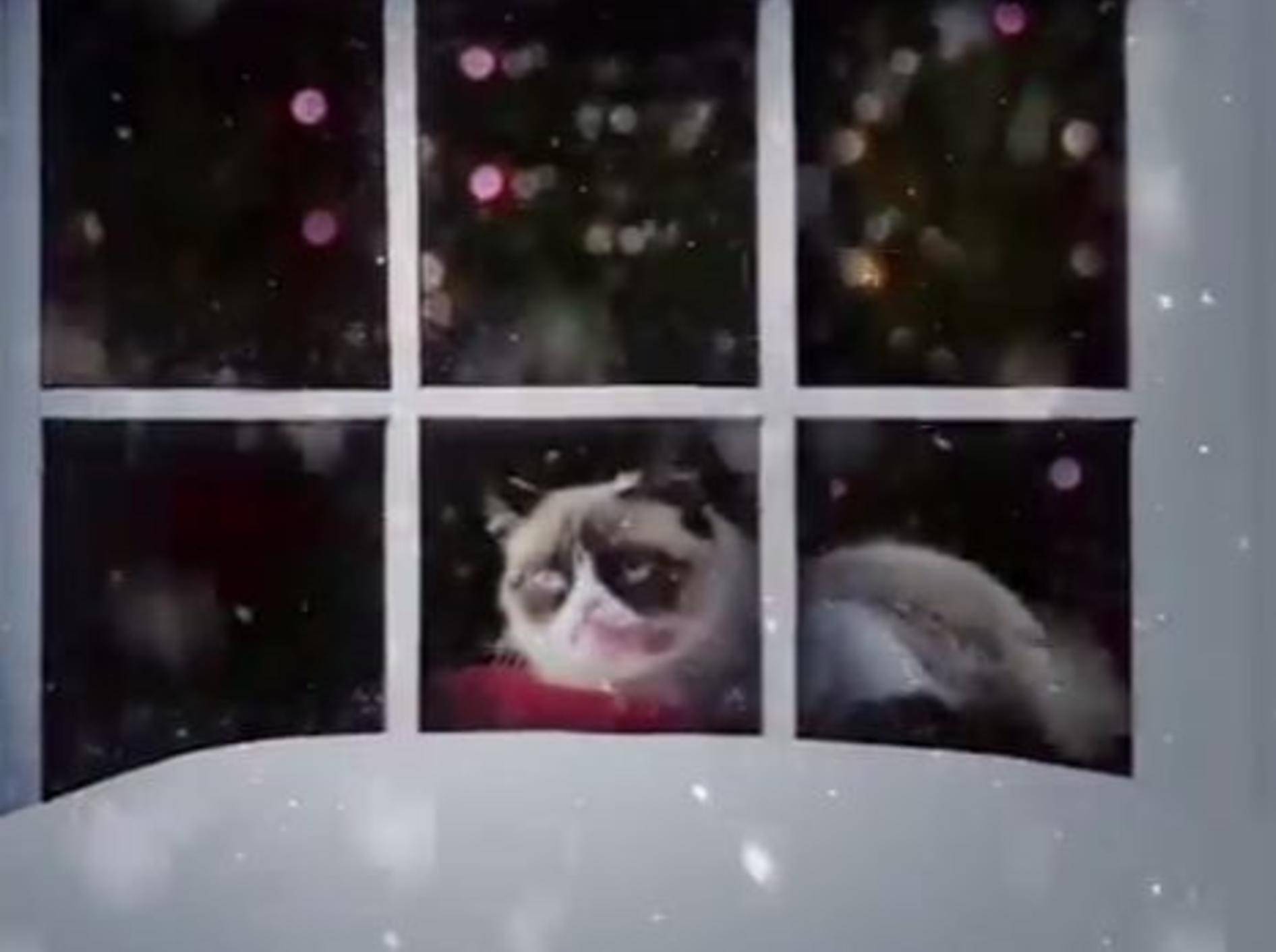 Weihnachtliches Musikvideo mit Grumpy Cat & Co. – Bild: Youtube / PurinaFriskies
