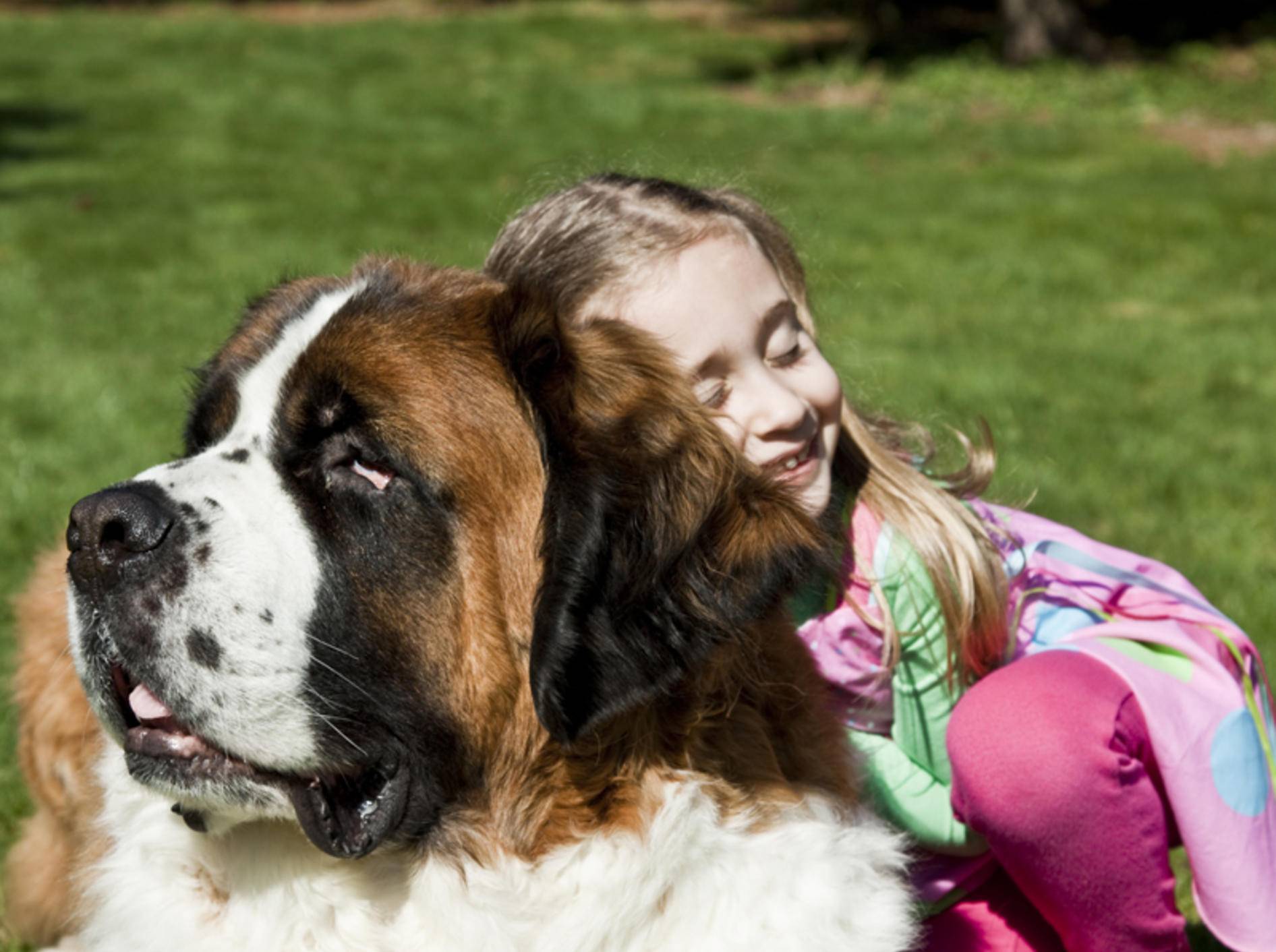 Zusammen mit Kindern fühlt sich der Bernhardiner in der Regel sehr wohl – Bild: Shutterstock / ItCameWithTheFrame