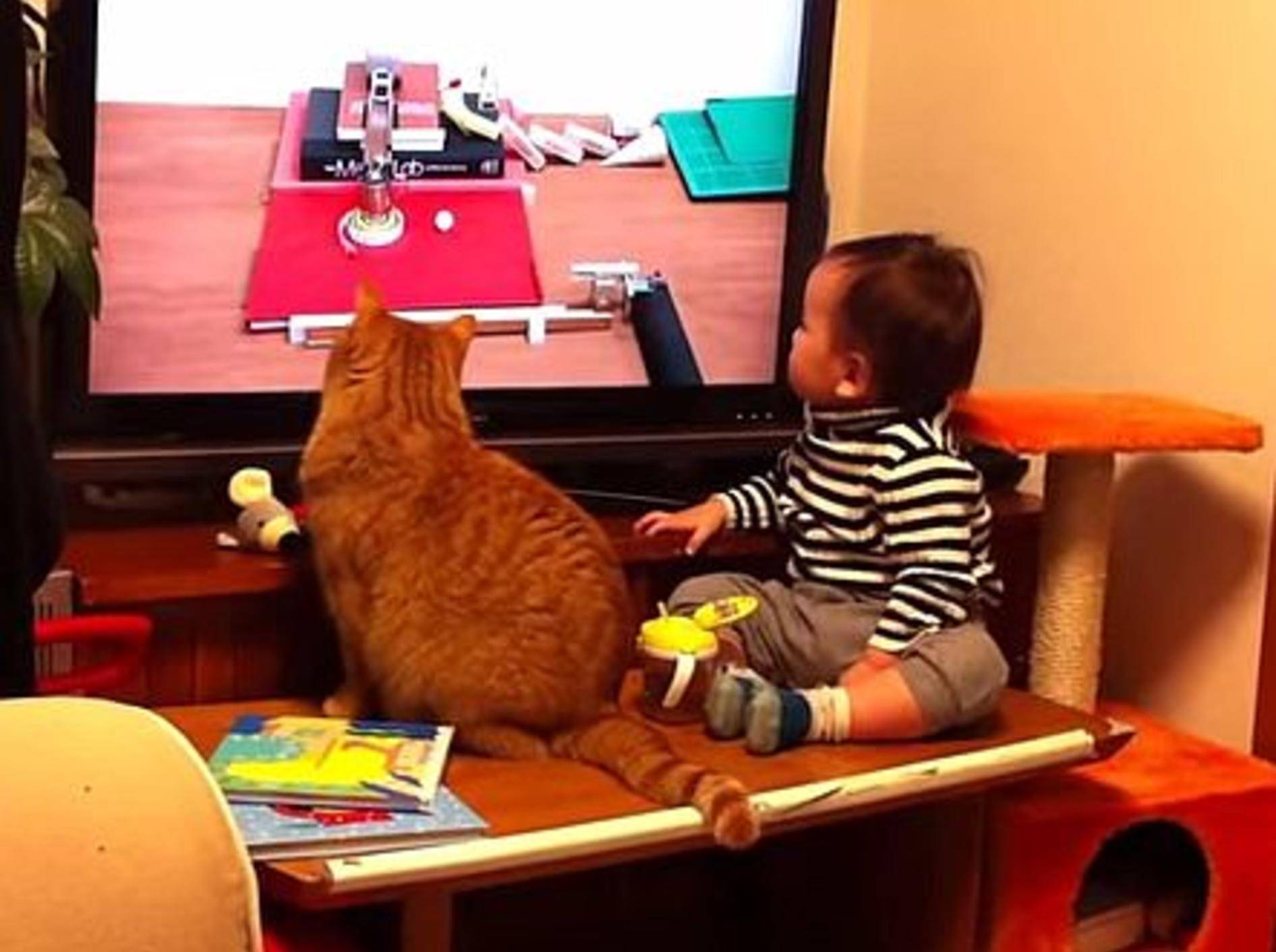 So herzig: Katze und Kleinkind schauen fern – Bild: Youtube / popomari