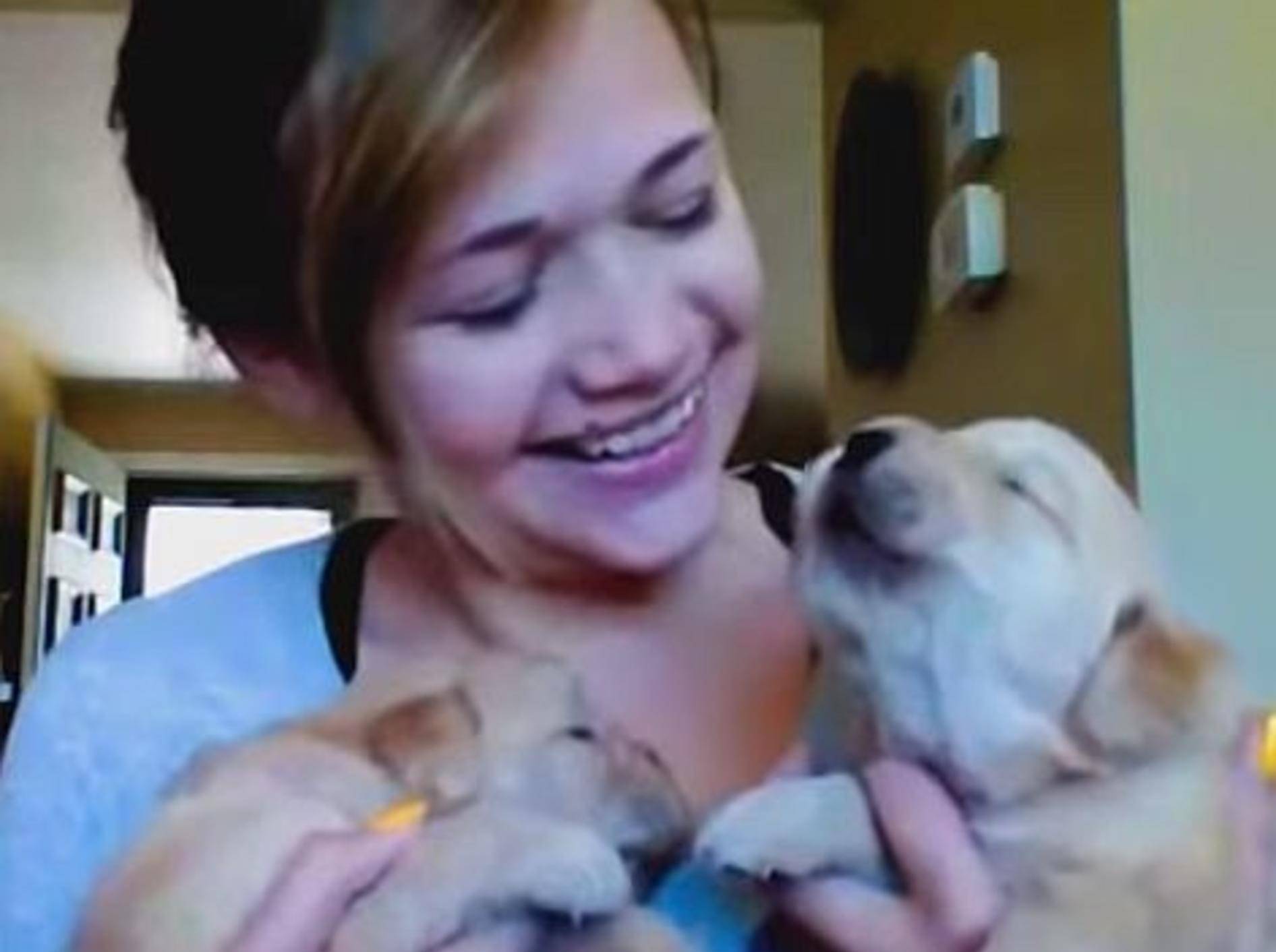 So süß: Babyhunde lernen heulen – Bild: Youtube / CrazyFunnyStuffCFS