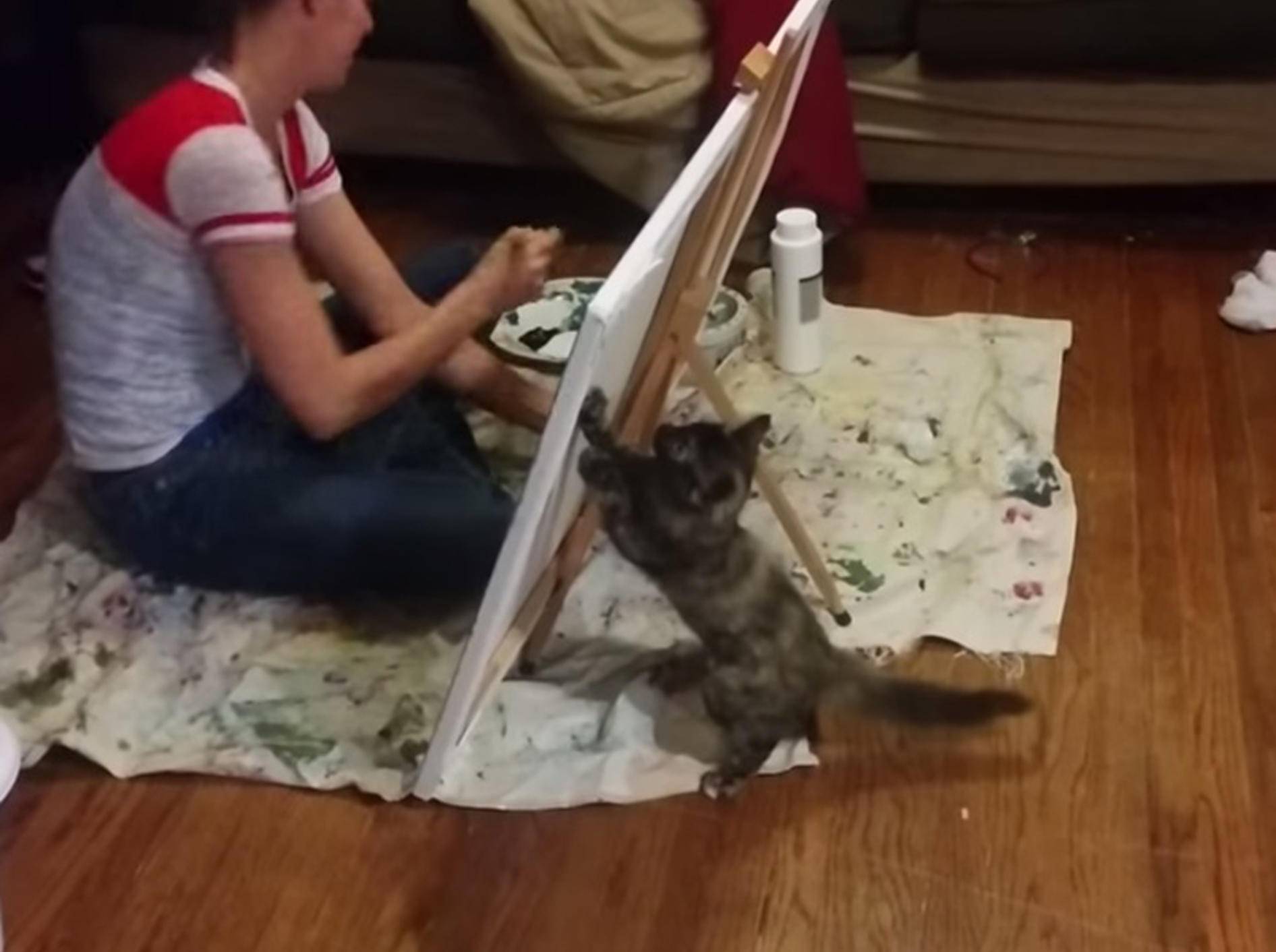 Süße Katze jagt Malpinsel – Bild: Youtube / Jim Nutt