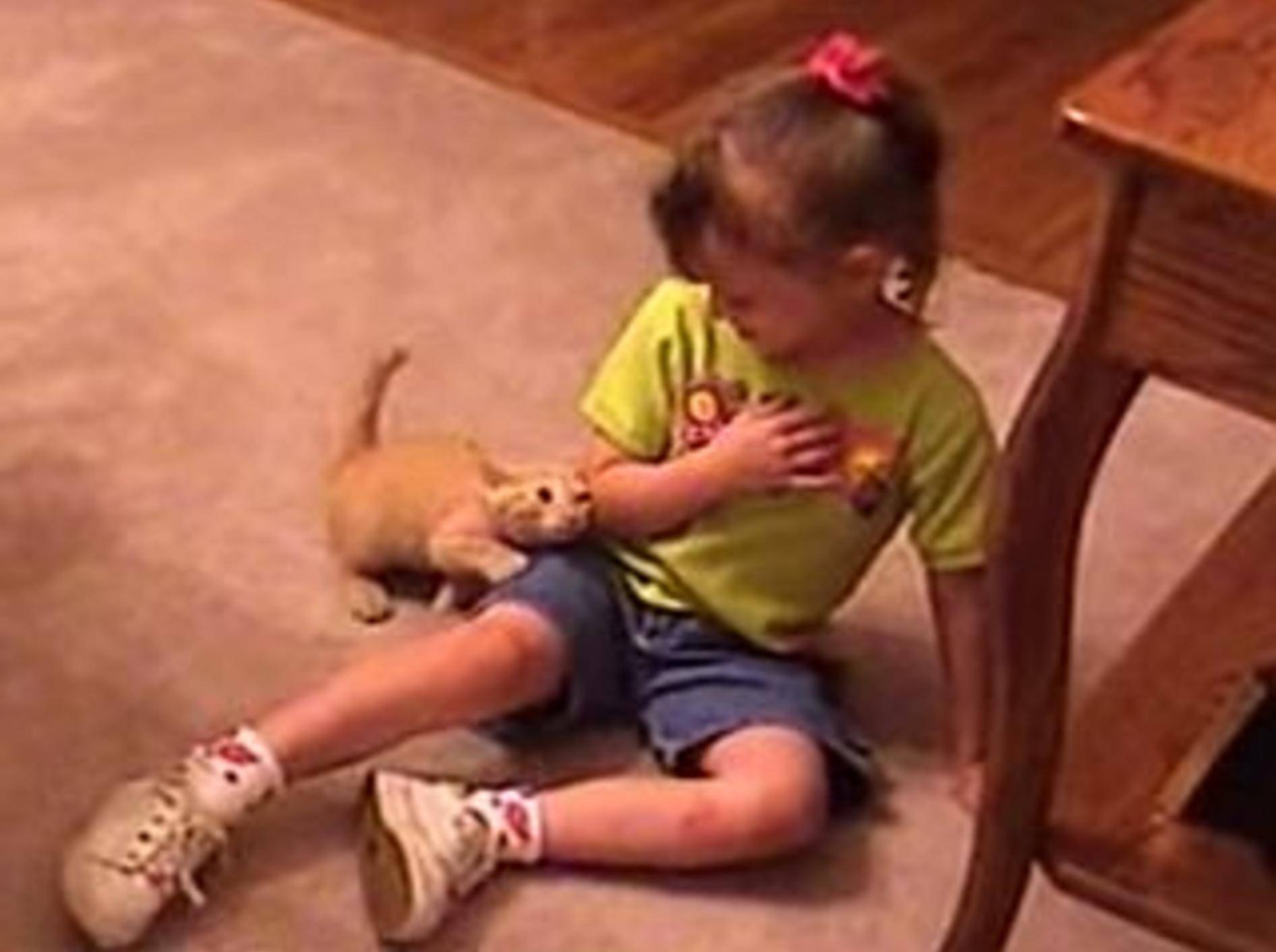 Kätzchen und Kind: Liebe auf den ersten Blick – Bild: Youtube / homevideoswag