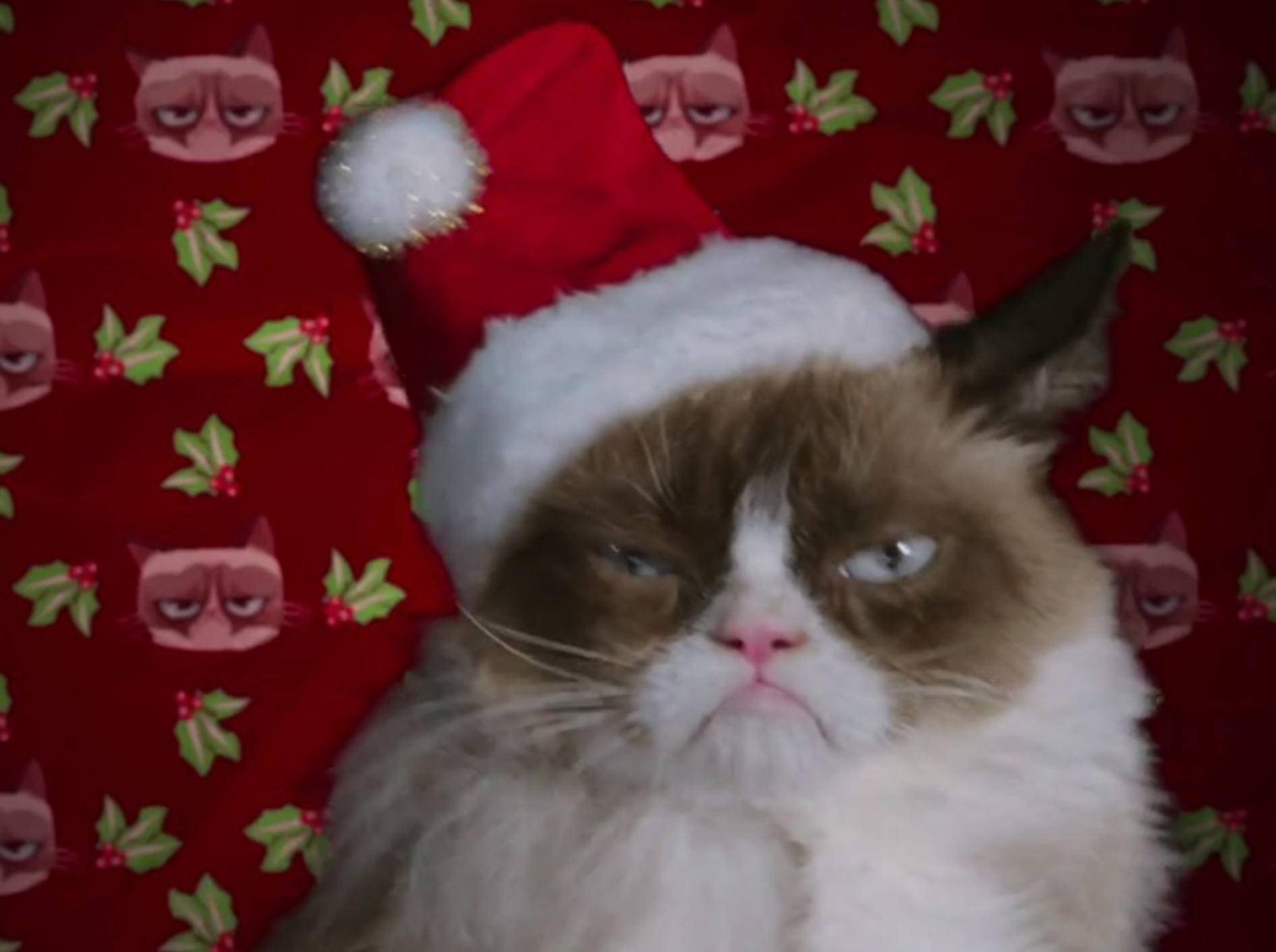 Grumpy Cat feiert "das schlimmste Weihnachten aller Zeiten" – Bild: Youtube / Lifetime