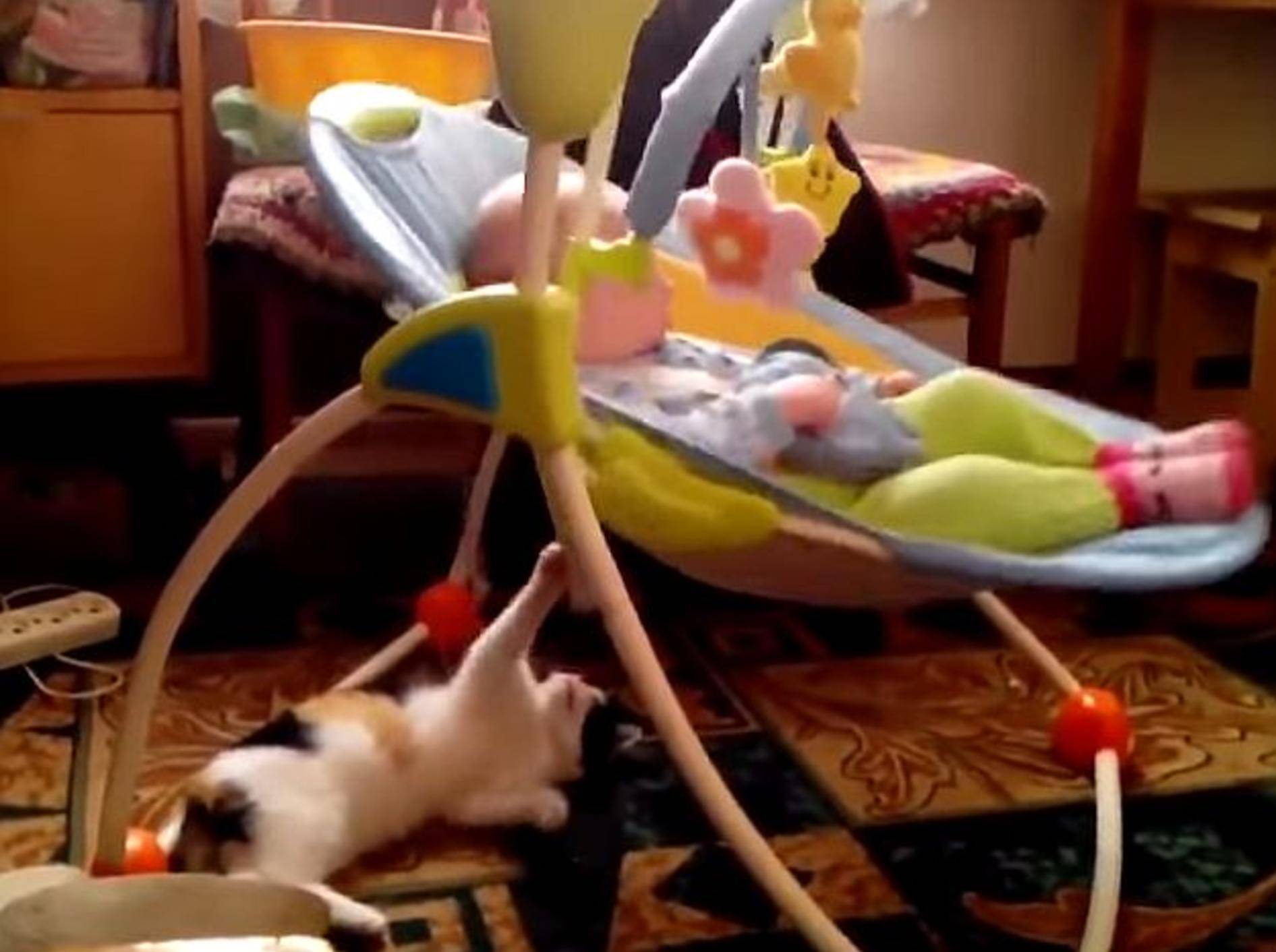 Liebe Katze schaukelt Baby – Bild: Youtube / Viralistas.com
