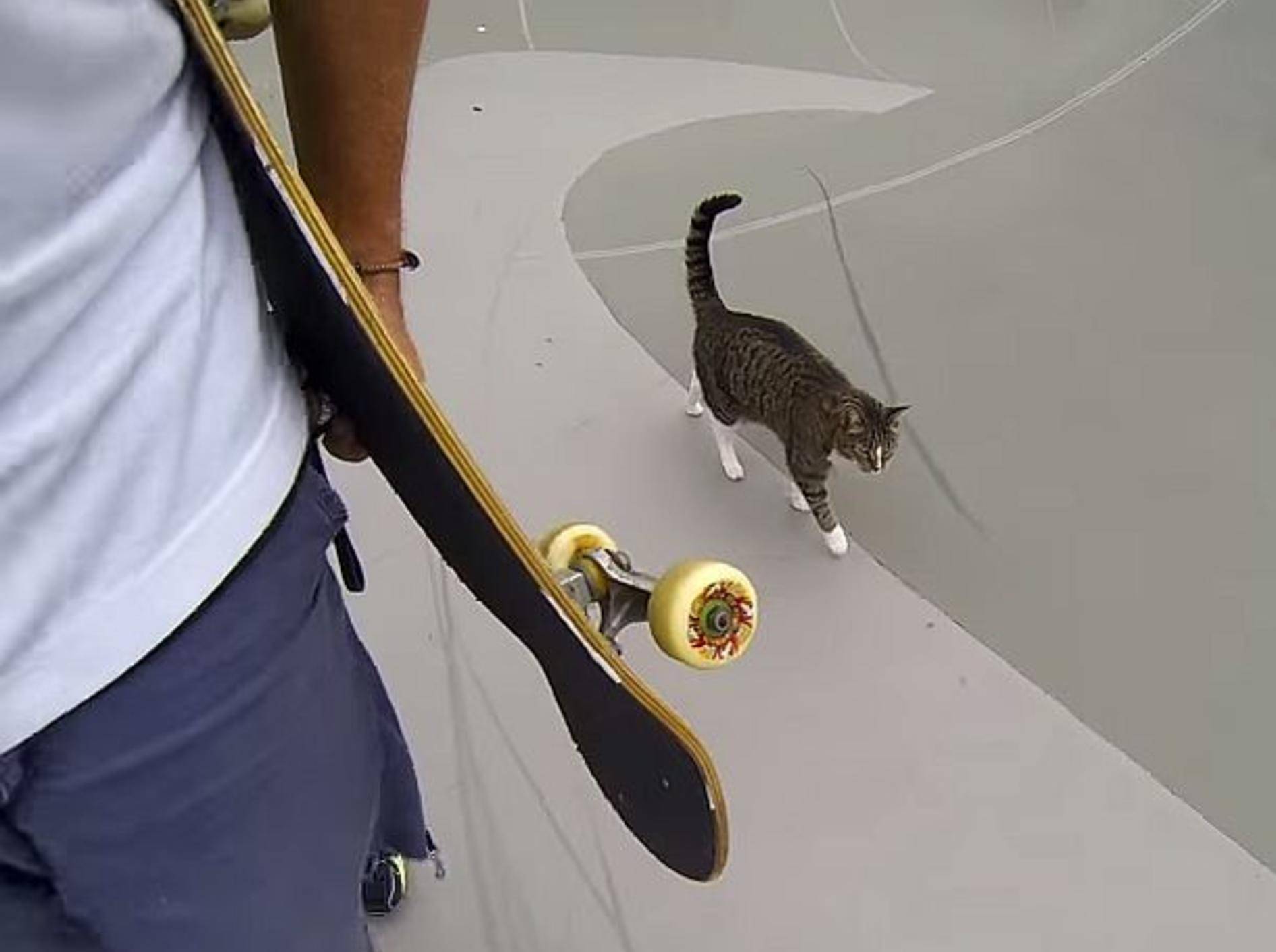 Skateboard-Profi Didga zeigt Tricks im Skatepark – Bild: Youtube / GoPro