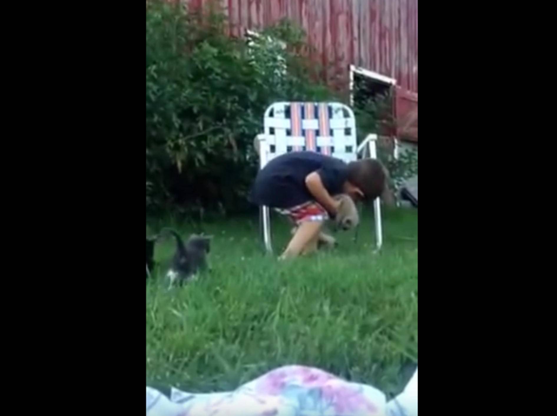 Knifflige Aufgabe: Junge versucht Kätzchen einzufangen – Bild: YouTube / The Home T