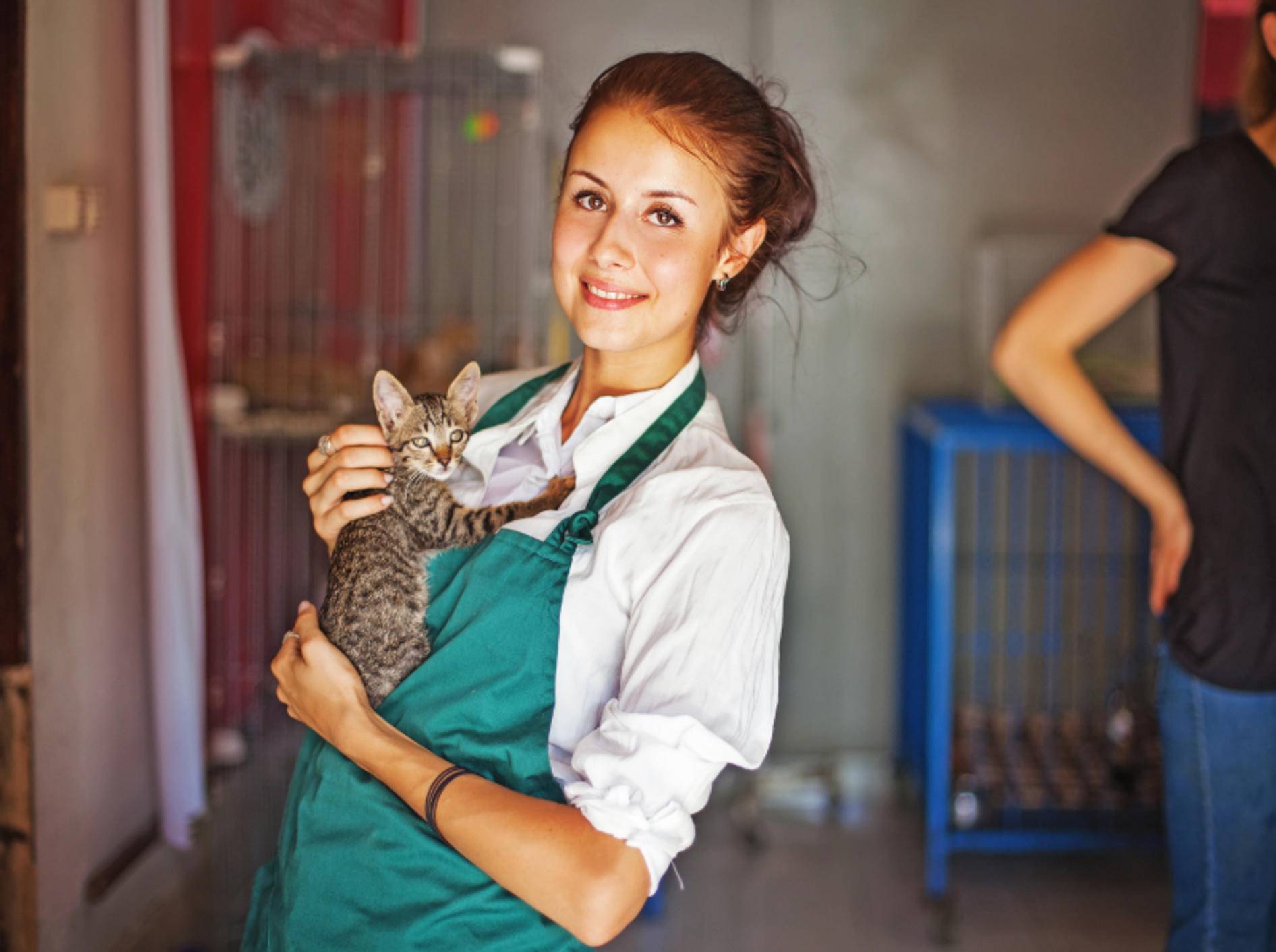 Eine Katze aus dem Tierheim freut sich über liebe Menschen – Shutterstock / Mila Supinskaya