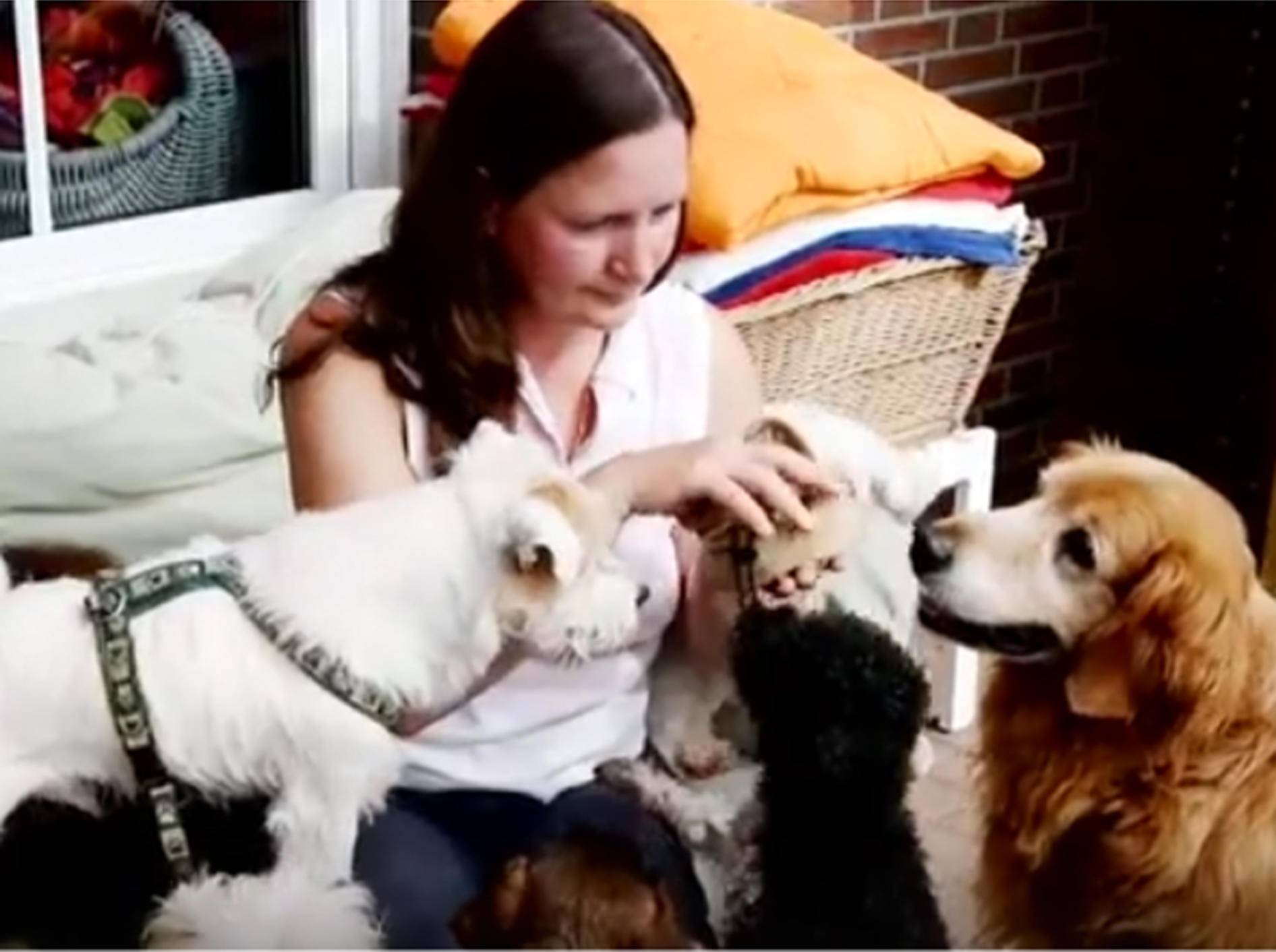 Heike Thiel und ihre Hundefreund vom Omihunde Netzwerk – YouTube / Heike Thiel