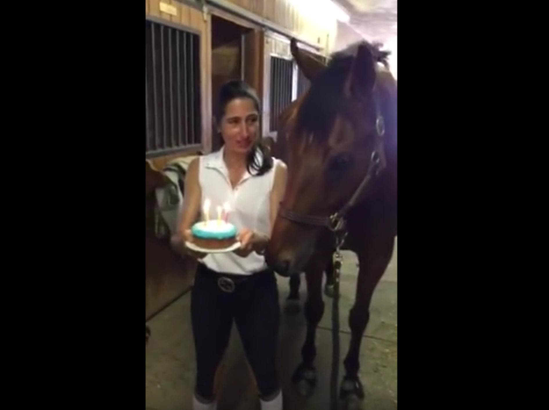 Überraschung! Pferd pustet Geburtstagskerzen aus – Bild: YouTube / imsarahthatsme