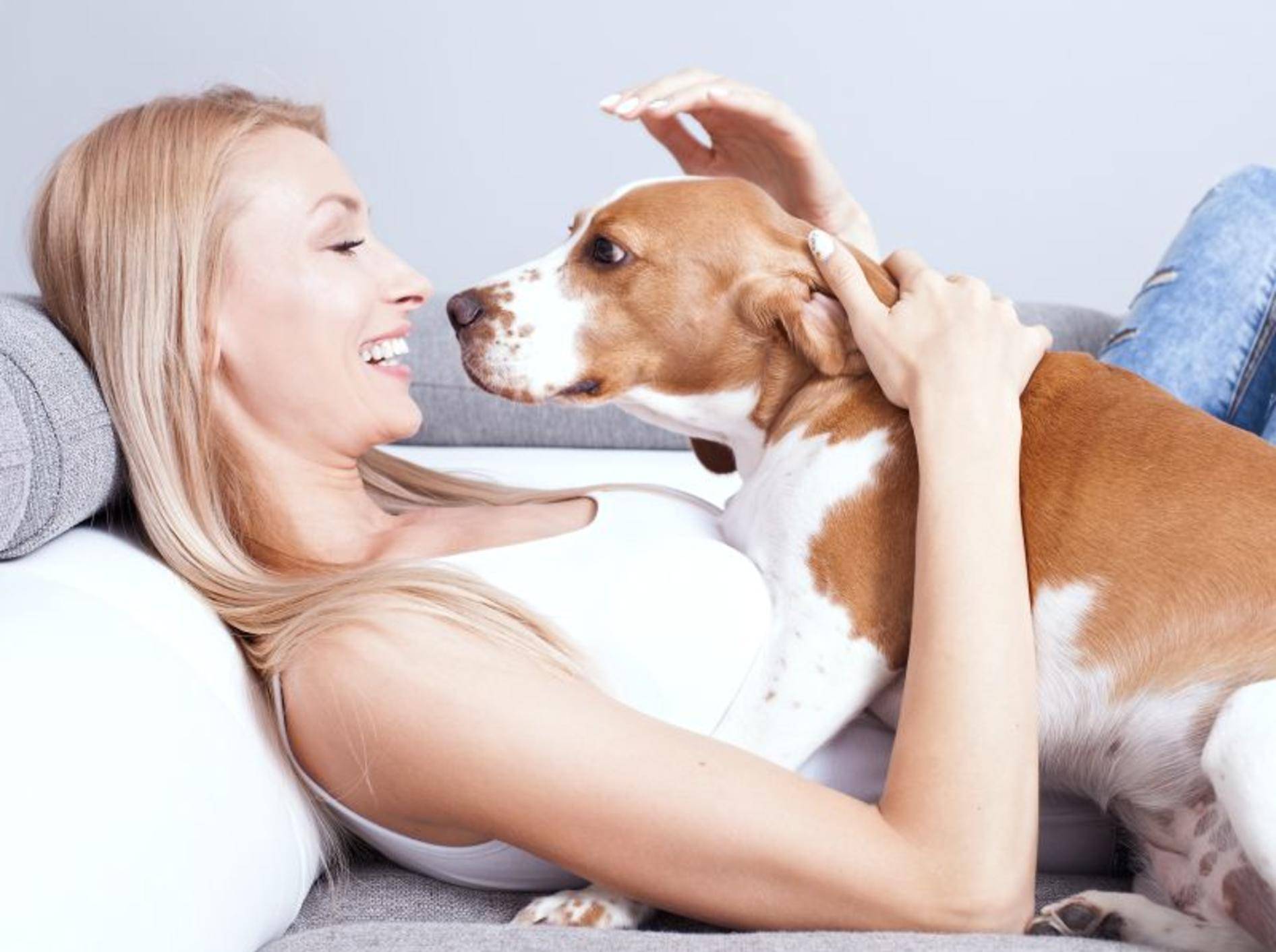 Ein guter Tierpsychologe weiß bei Verhaltensproblemen Rat – Shutterstock / NeonShot