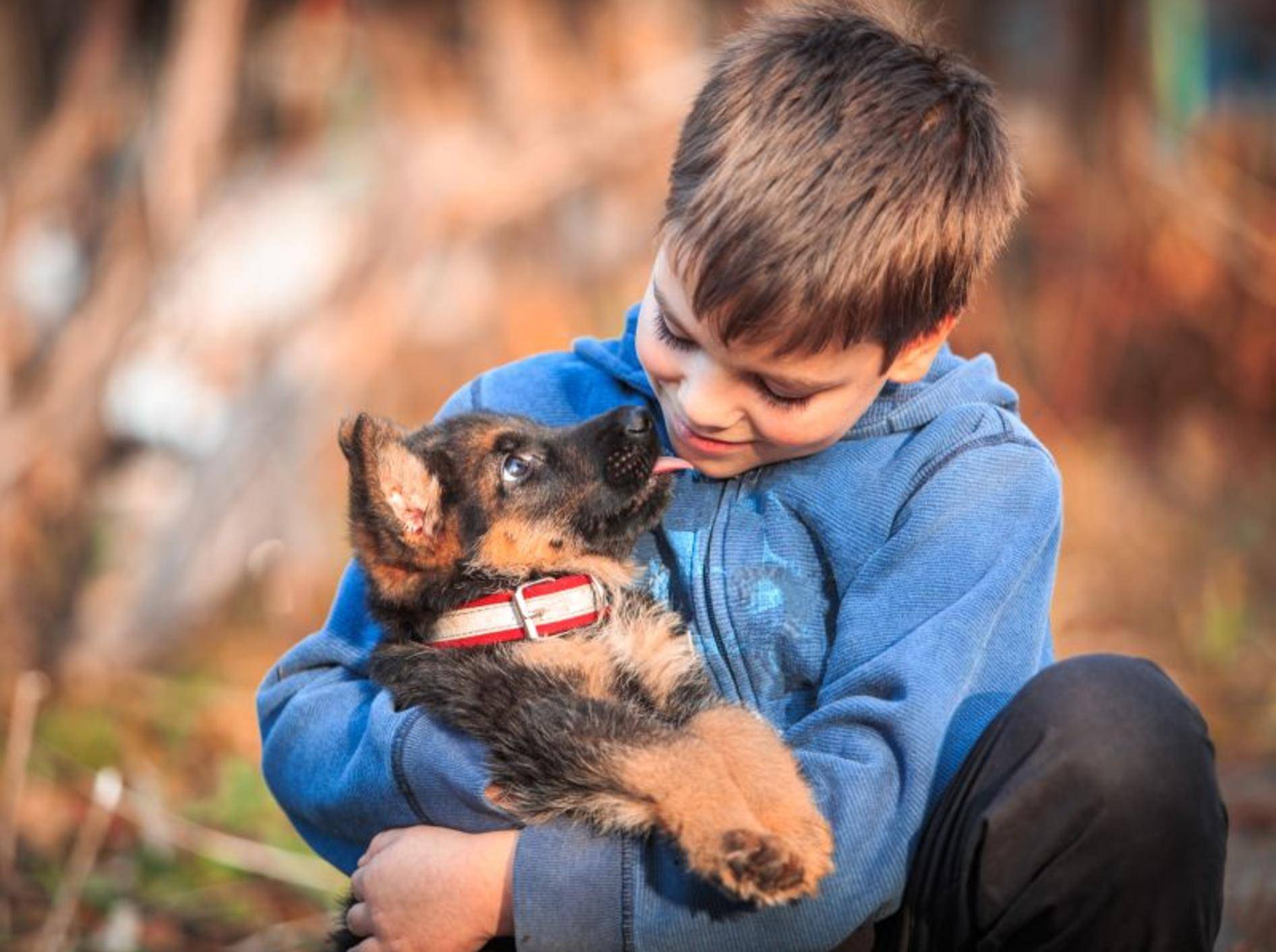 Hunde und Kinder können sich wunderbar ergänzen – Shutterstock / Stone36