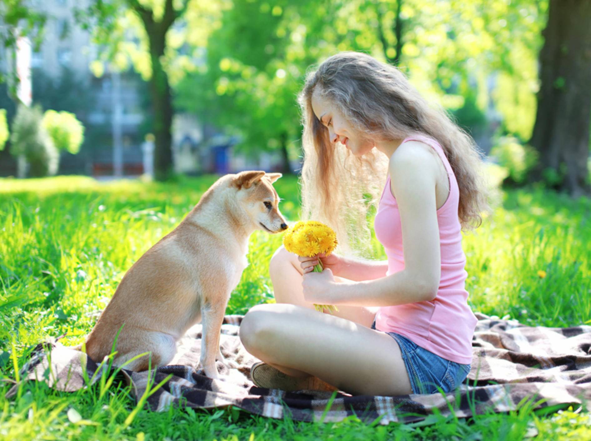 Das Verhalten der Hundehalter wirkt sich auf die Persönlichkeit des Hundes aus – Shutterstock / Rohappy