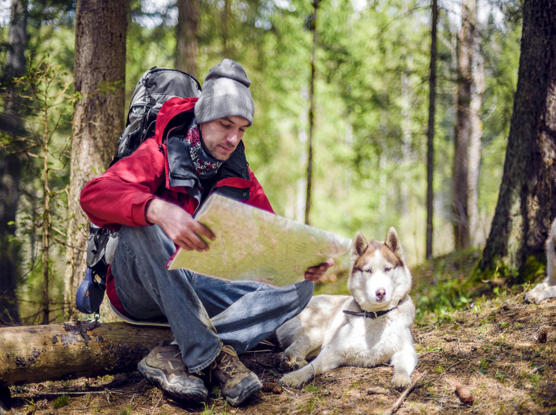Gut ausgerüstet wird das Wandern mit dem Hund zum perfekten Abenteuer – Shutterstock / Osadchaya Olga